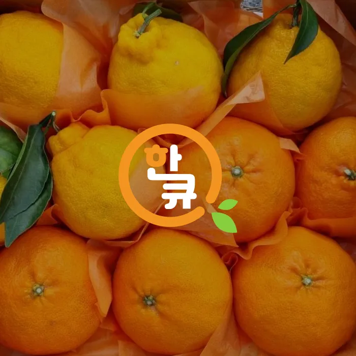 한큐